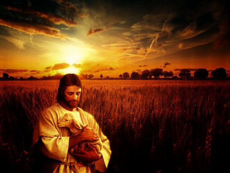 Jesús habla de la cosecha espiritual